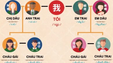 Cách xưng hô trong Gia đình bằng tiếng Trung Quốc [Chuẩn] ⇒by tiếng Trung Chinese