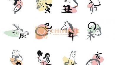 12 Con Giáp trong tiếng Trung Quốc: Ý nghĩa | Nguồn Gốc và Tử Vi ⇒by tiếng Trung Chinese