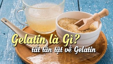 Gelatin là gì? Vai trò và một số ứng dụng của bột Gelatin