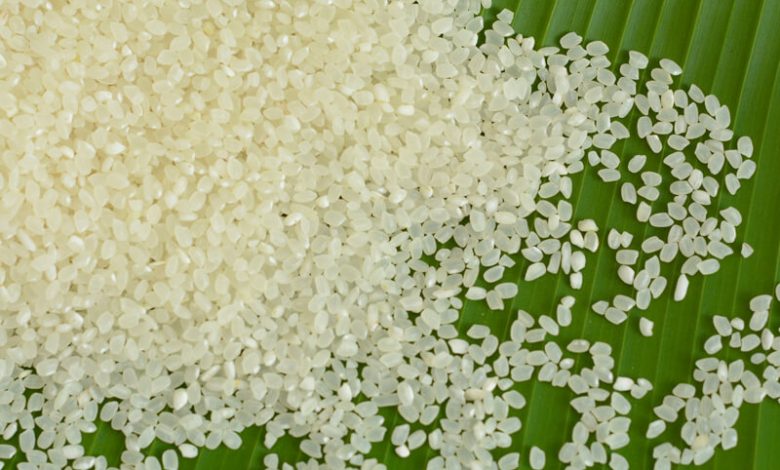 Gạo Nhật là gạo gì? Có những loại gạo Nhật nào ở Bách hóa XANH?