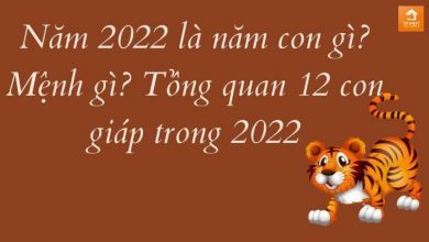 Năm 2022 là năm con gì? Tuổi Nhâm Dần hợp Tuổi nào & Màu gì?