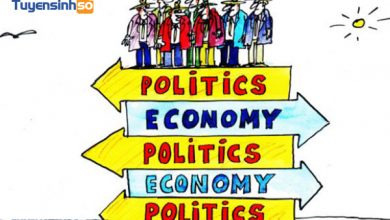 Những thông tin cơ bản về ngành Kinh tế Chính trị