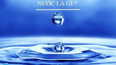 Nước là gì? Tính chất và vai trò của nước [BẠN NÊN BIẾT]