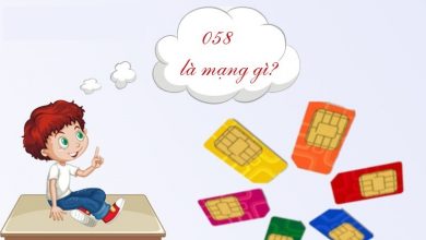 Đầu số 058 là mạng gì? Ý nghĩa của đầu số 058? Có phải số may mắn? – Thegioididong.com
