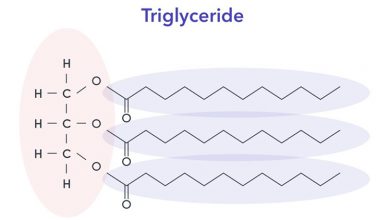 Điều trị tăng triglyceride máu đơn thuần