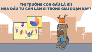 Thị trường con gấu là gì? Nhà đầu tư cần làm gì trong giai đoạn này?