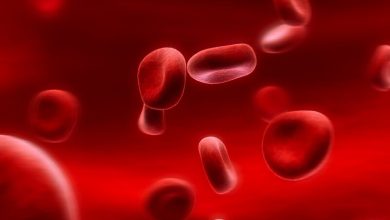 Bệnh thiếu máu hồng cầu to: nguyên nhân và biện pháp điều trị | Medlatec