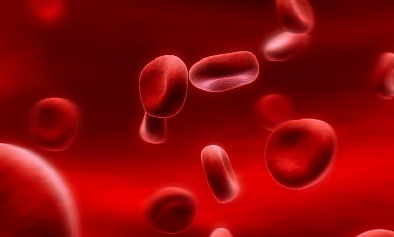 Bệnh thiếu máu hồng cầu to: nguyên nhân và biện pháp điều trị | Medlatec