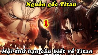 Attack on Titan: Việc nhìn thấy những Con Đường & Sự Tái Sinh của những Titan Shifter