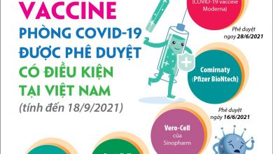8 loại vắc-xin phòng COVID-19 đã được cấp phép tại Việt Nam